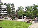 Resize of P5290003.JPG